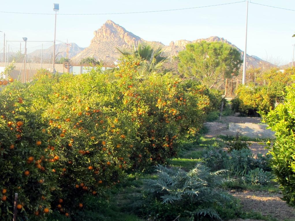 Sol Mediterraneo アルチェナ エクステリア 写真
