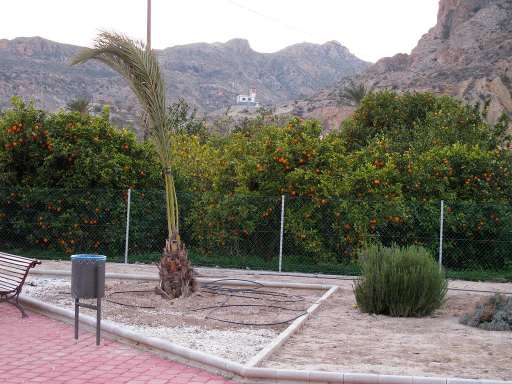 Sol Mediterraneo アルチェナ エクステリア 写真